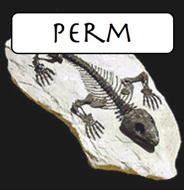 Perm logo